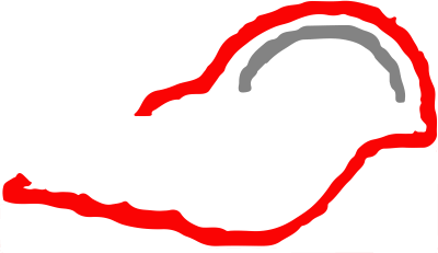 Charonia